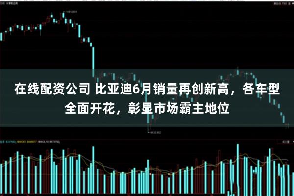 在线配资公司 比亚迪6月销量再创新高，各车型全面开花，彰显市场霸主地位