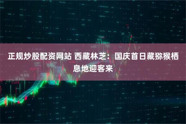 正规炒股配资网站 西藏林芝：国庆首日藏猕猴栖息地迎客来