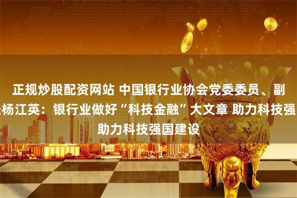 正规炒股配资网站 中国银行业协会党委委员、副秘书长杨江英：银行业做好“科技金融”大文章 助力科技强国建设